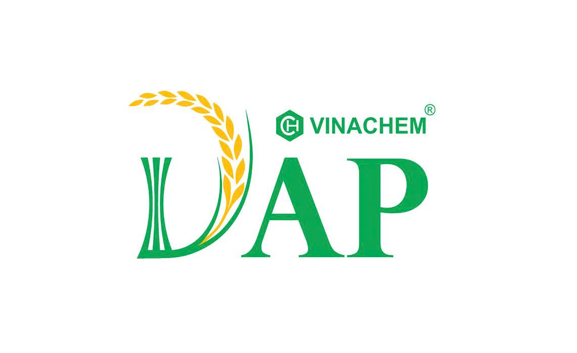 Đại hội đại biểu Đảng bộ Tập đoàn Hóa chất Việt Nam lần thứ IV, nhiệm kỳ 2025–2030 thành công tốt đẹp